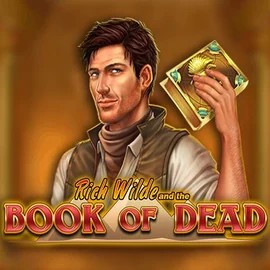 Official Slots logo: Book of Dead by Play'n GO at Vincispin Casino