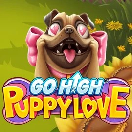 Go High Puppy Love game by RubyPlay – logo hosted on Vincispin Casino
